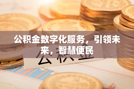 界首公积金数字化服务，引领未来，智慧便民
