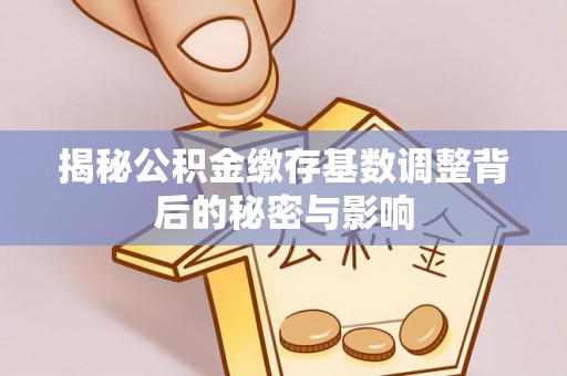 界首揭秘公积金缴存基数调整背后的秘密与影响