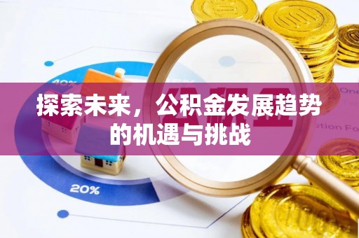 界首探索未来，公积金发展趋势的机遇与挑战