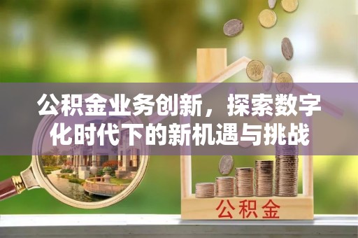 界首公积金业务创新，探索数字化时代下的新机遇与挑战
