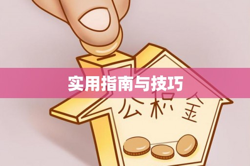 界首实用指南与技巧