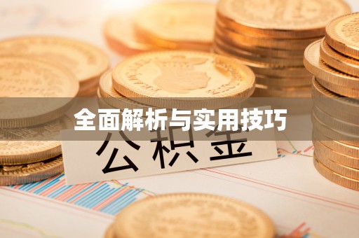 界首全面解析与实用技巧