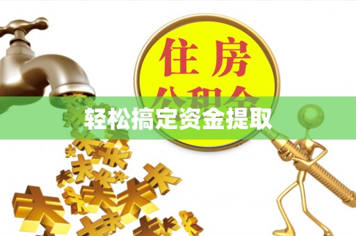 界首轻松搞定资金提取