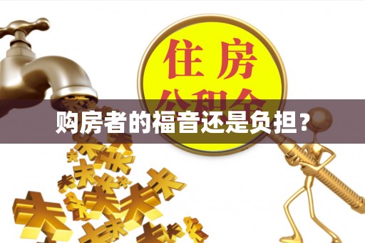 界首购房者的福音还是负担？