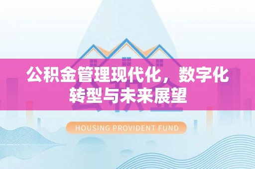 界首公积金管理现代化，数字化转型与未来展望