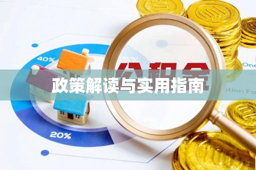 界首政策解读与实用指南
