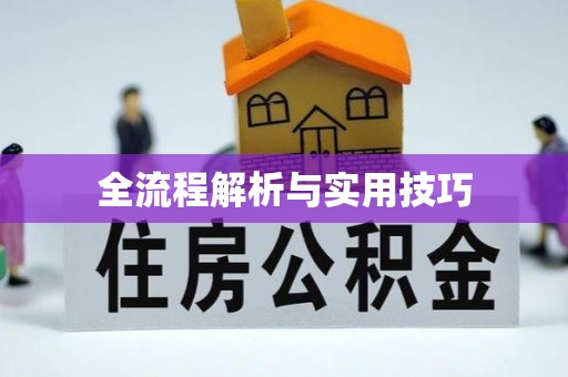 界首全流程解析与实用技巧