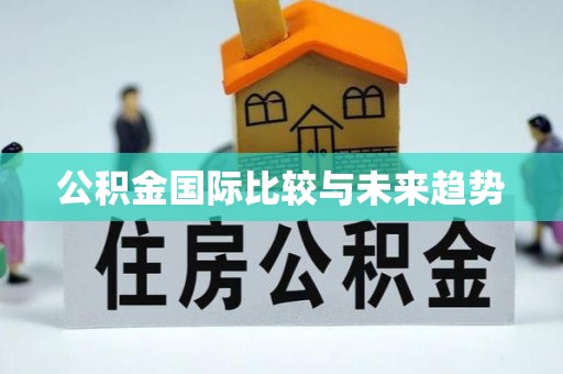 界首公积金国际比较与未来趋势