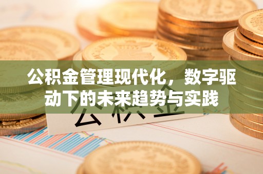 界首公积金管理现代化，数字驱动下的未来趋势与实践