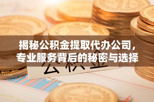 界首揭秘公积金提取代办公司，专业服务背后的秘密与选择指南