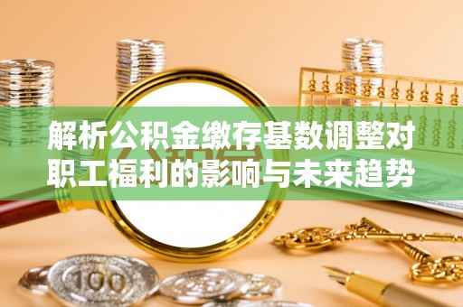 界首解析公积金缴存基数调整对职工福利的影响与未来趋势