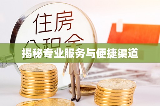 界首揭秘专业服务与便捷渠道