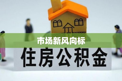 界首市场新风向标
