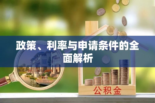 界首政策、利率与申请条件的全面解析