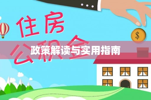 界首政策解读与实用指南