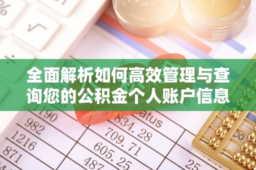 界首全面解析如何高效管理与查询您的公积金个人账户信息