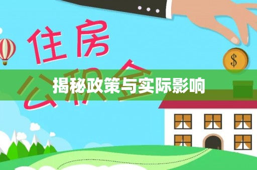 界首揭秘政策与实际影响