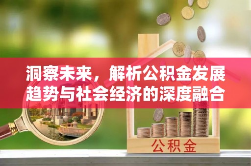界首洞察未来，解析公积金发展趋势与社会经济的深度融合
