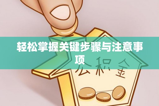 界首轻松掌握关键步骤与注意事项