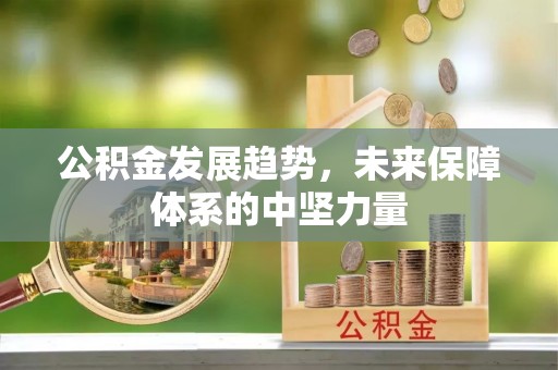 界首公积金发展趋势，未来保障体系的中坚力量