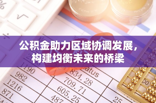 界首公积金助力区域协调发展，构建均衡未来的桥梁