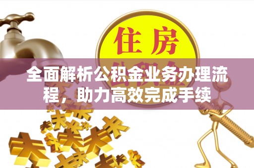 界首全面解析公积金业务办理流程，助力高效完成手续