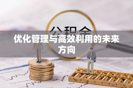 界首优化管理与高效利用的未来方向