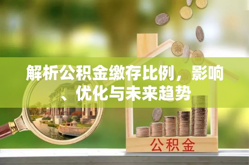 界首解析公积金缴存比例，影响、优化与未来趋势