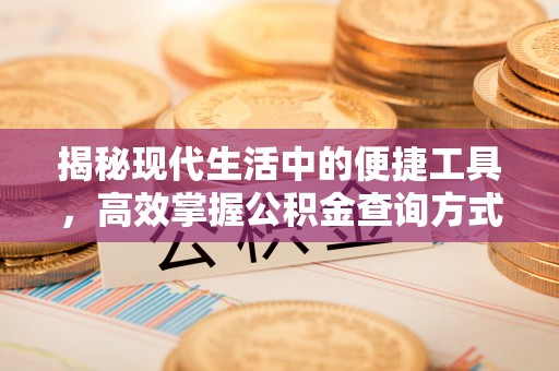 界首揭秘现代生活中的便捷工具，高效掌握公积金查询方式
