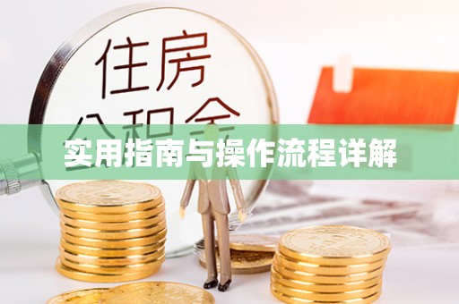 界首实用指南与操作流程详解