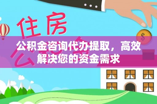 界首公积金咨询代办提取，高效解决您的资金需求