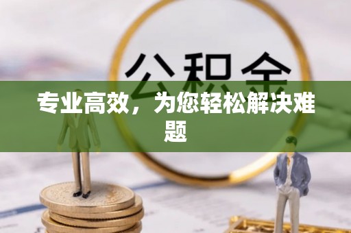 界首专业高效，为您轻松解决难题