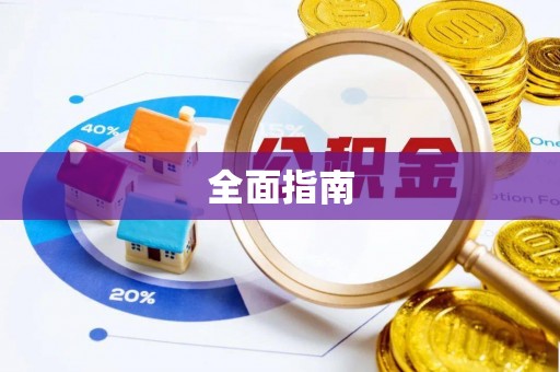 界首全面指南