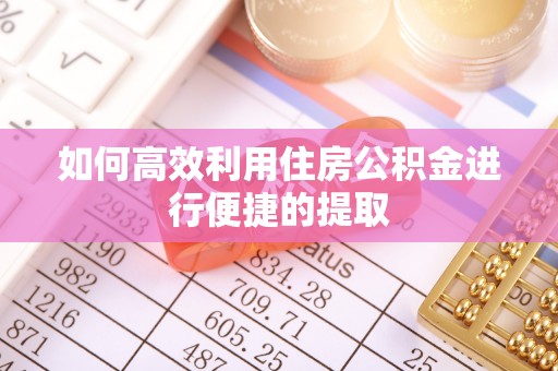 界首如何高效利用住房公积金进行便捷的提取