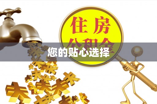 界首您的贴心选择