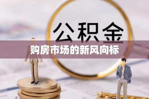 界首购房市场的新风向标