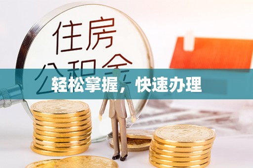 界首轻松掌握，快速办理