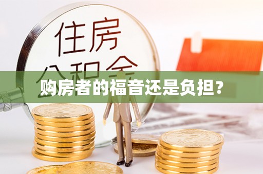 界首购房者的福音还是负担？