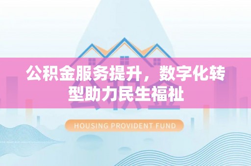 界首公积金服务提升，数字化转型助力民生福祉