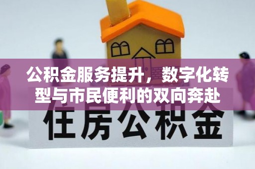 界首公积金服务提升，数字化转型与市民便利的双向奔赴