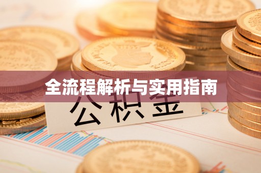 界首全流程解析与实用指南