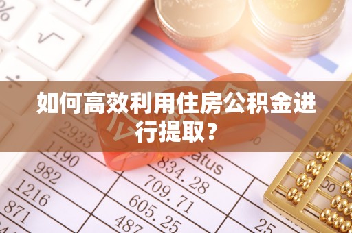 界首如何高效利用住房公积金进行提取？