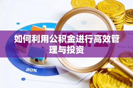 界首如何利用公积金进行高效管理与投资