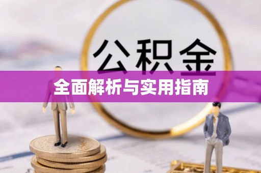 界首全面解析与实用指南