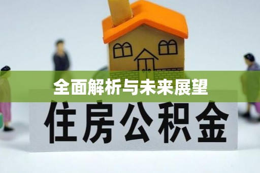 界首全面解析与未来展望