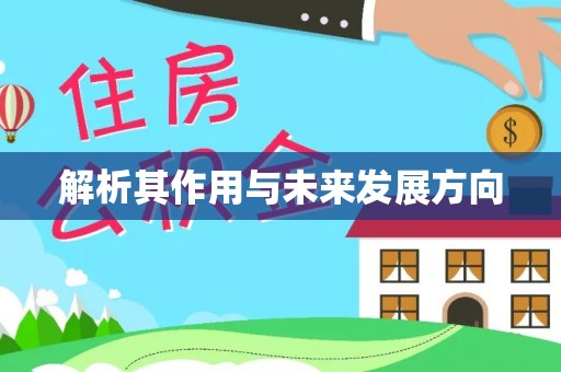 界首解析其作用与未来发展方向