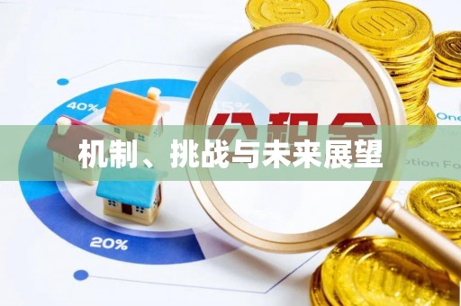 界首机制、挑战与未来展望