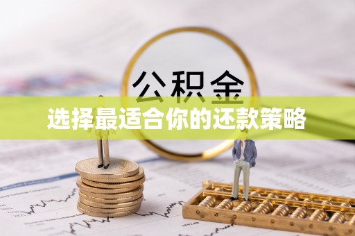 界首选择最适合你的还款策略