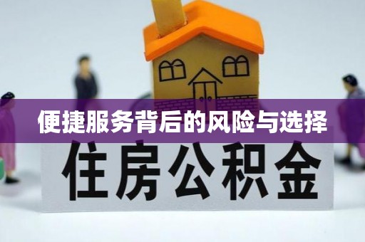 界首便捷服务背后的风险与选择