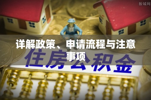 界首详解政策、申请流程与注意事项